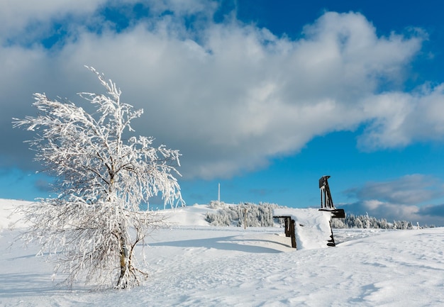 Paisaje nevado de montaña de invierno