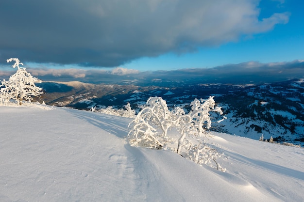 Paisaje nevado de montaña de invierno