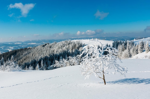 Paisaje nevado de montaña de invierno