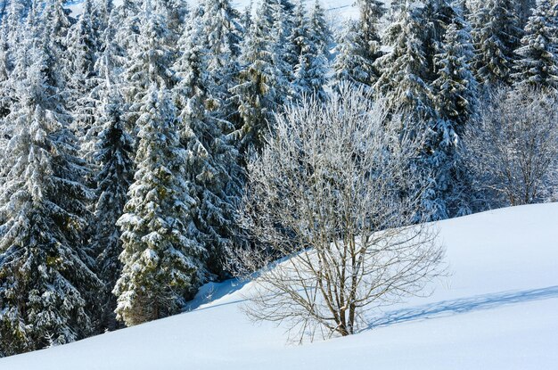 Paisaje nevado de montaña de invierno