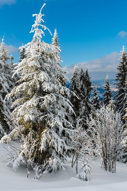 Paisaje nevado de montaña de invierno