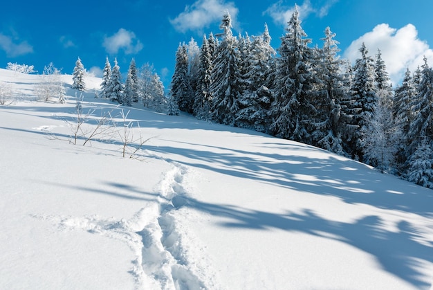 Paisaje nevado de montaña de invierno