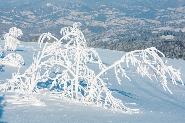 Paisaje nevado de montaña de invierno