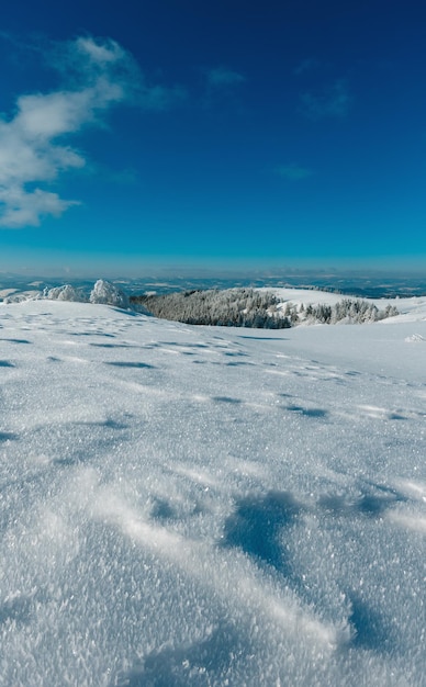 Paisaje nevado de montaña de invierno