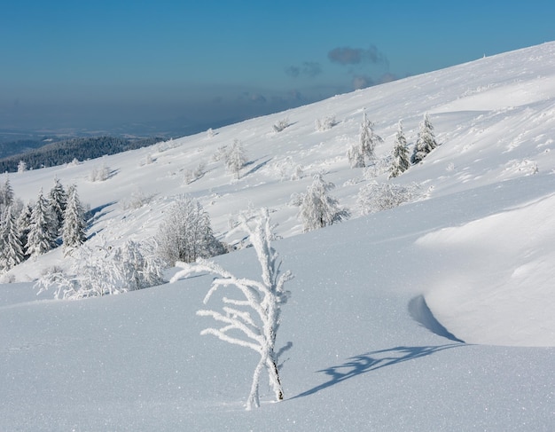 Paisaje nevado de montaña de invierno