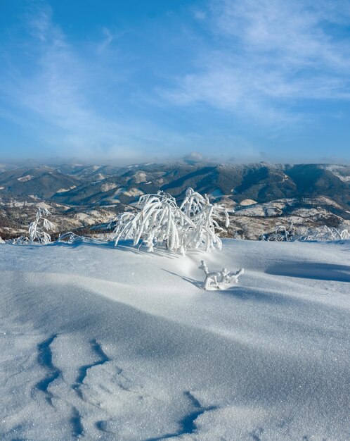 Paisaje nevado de montaña de invierno