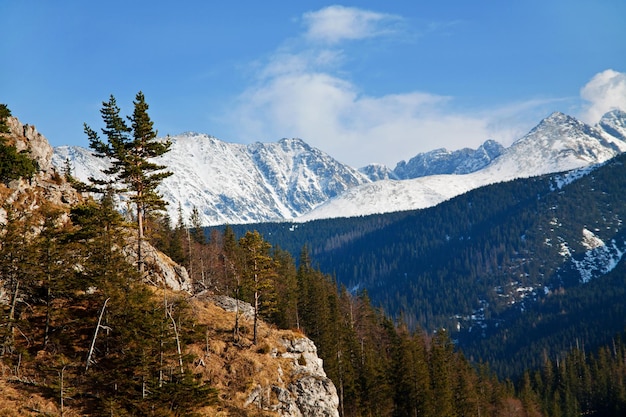 Paisaje nevado de montaña con roca