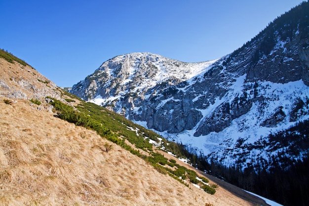 Paisaje nevado de montaña con roca