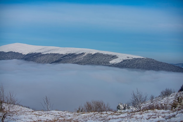 Paisaje nevado, montañas nevadas. Hermoso paisaje invernal con árboles cubiertos de nieve. Invierno en el bosque.