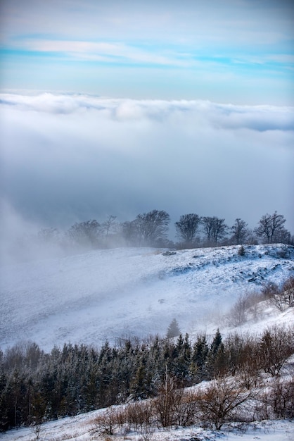 Paisaje nevado, montañas nevadas. Invierno en el bosque.