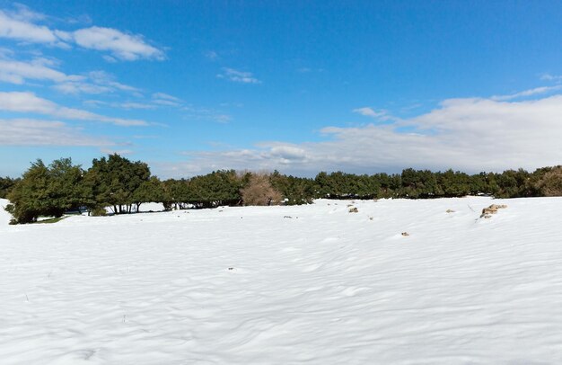 paisaje nevado en el norte de Israel