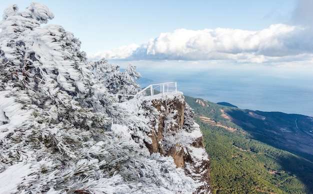 Paisaje nevado Paisaje de invierno en la cima de una montaña. Árboles en la nieve. pico de la montaña, cielo azul, naturaleza, sol de invierno. Montaña Ai-Petri. Crimea