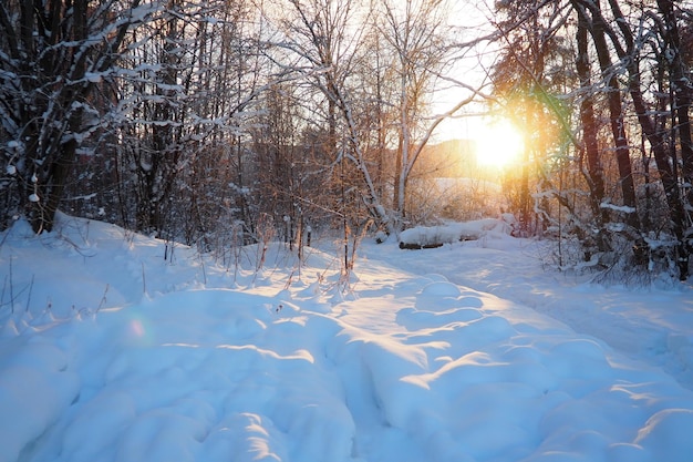 Foto paisaje nevado con sol de invierno hora azul presunset sol por encima del horizonte polar corto día helada ha