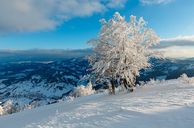 Paisaje nevado de la tarde de la montaña del invierno