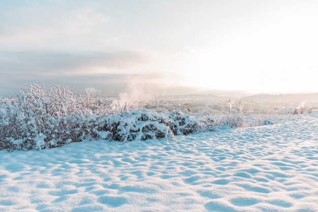 Paisaje nevado