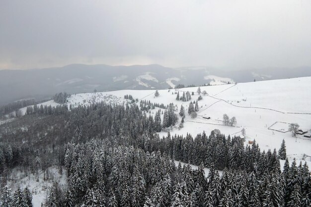 Paisaje de niebla aérea con pinos de hoja perenne cubiertos de nieve recién caída después de fuertes nevadas en el bosque de montaña de invierno en la fría noche tranquila.