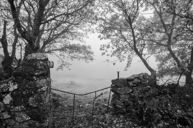 Paisaje con niebla cerca de Montanchez. Extremadura España.