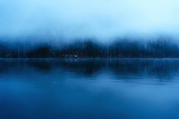 Paisaje con niebla matutina en el lago del bosque