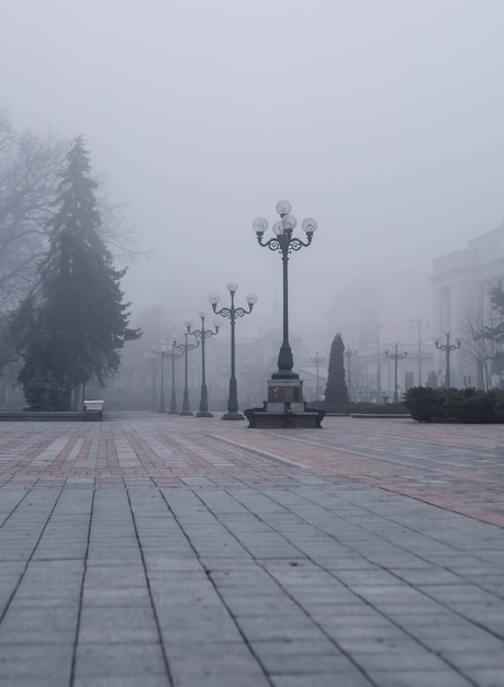 Paisaje de niebla