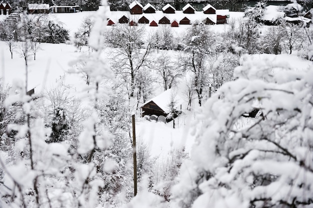 paisaje de nieve