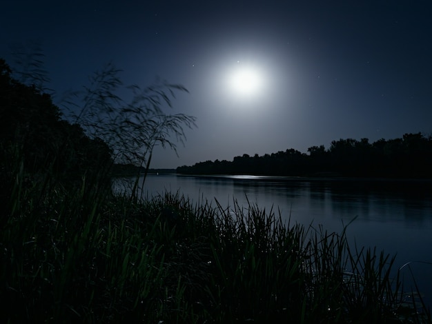 Foto paisaje nocturno con bosques en la orilla del río a la luz de la luna, larga exposición