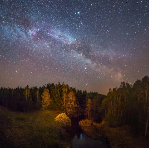 Paisaje nocturno estrellado