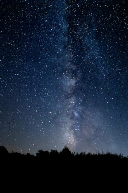 Paisaje nocturno estrellado