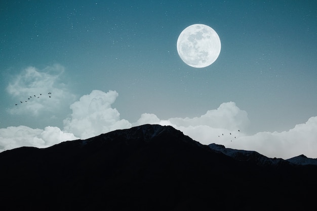 Paisaje nocturno con luna llena y cielo nublado.