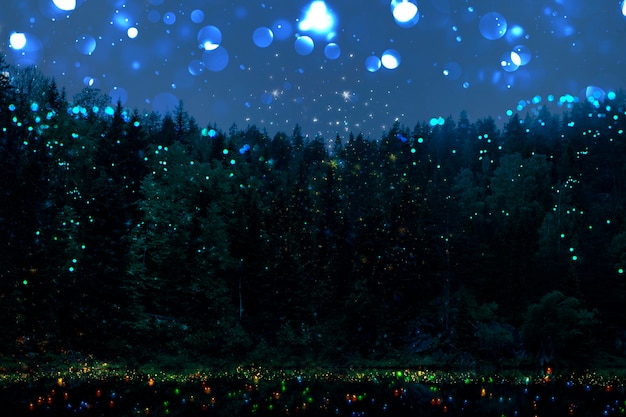 Paisaje nocturno mágico con luces brillantes