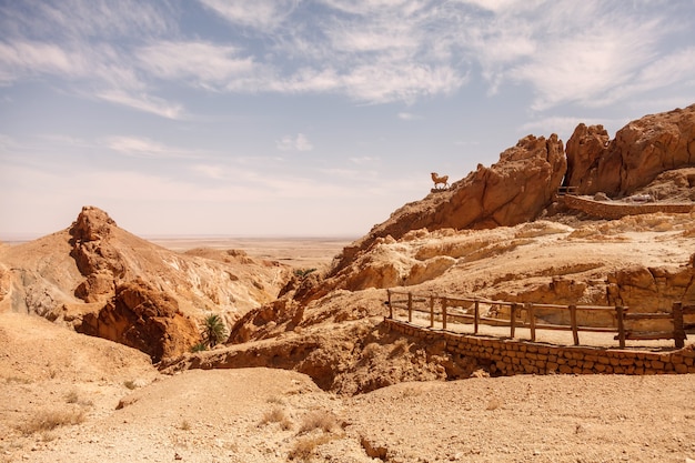 Paisaje oasis de Chebika en el desierto del Sahara.