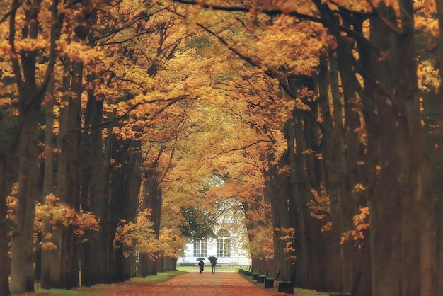 Paisaje de octubre / otoño en el parque, árboles amarillos de octubre, callejón en el paisaje de otoño