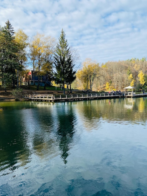 paisaje otoñal con árboles bosque y lago