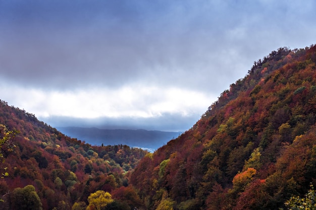 Paisaje otoñal en el bosque de La Fageda de Grevolosa, La Garrotxa.