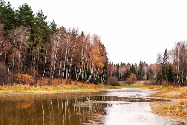 Paisaje otoñal con bosque y lago