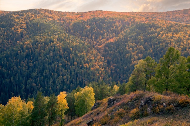 Paisaje otoñal en un día soleado montañas boscosas rocas hierba exuberante