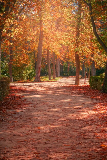 Paisaje otoñal donde predomina el color naranja