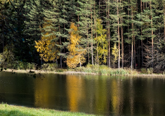 Paisaje otoñal, hermoso otoño junto al lago en un día soleado