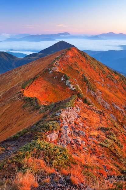Paisaje otoñal con hierba roja en las laderas de las montañas. Mañana soleada en las montañas