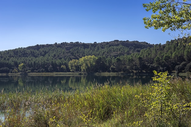 Paisaje otoñal con lago en un día soleado