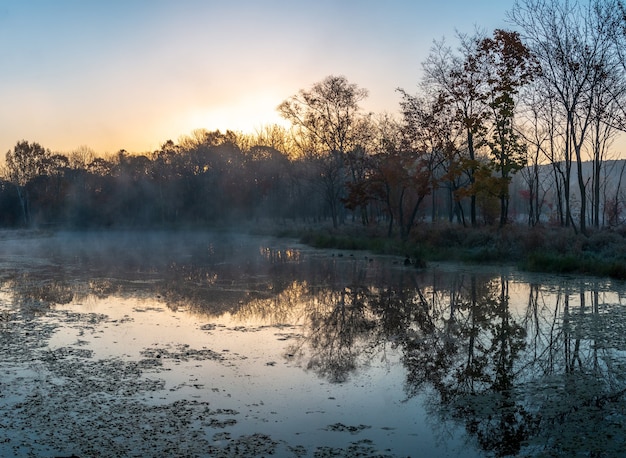 Paisaje otoñal de la mañana brumosa en el lejano oriente de Rusia. Escena en un parque de una zona residencial de la ciudad.