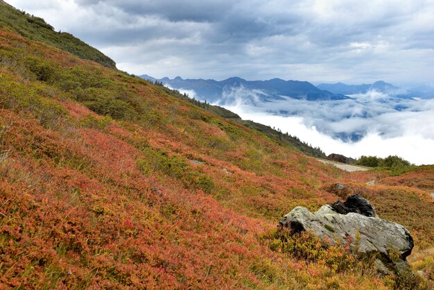 Paisaje otoñal en la montaña de los Alpes con arbusto rojo y vista sobre las nubes en el valle- Col du petit Saint Bernard