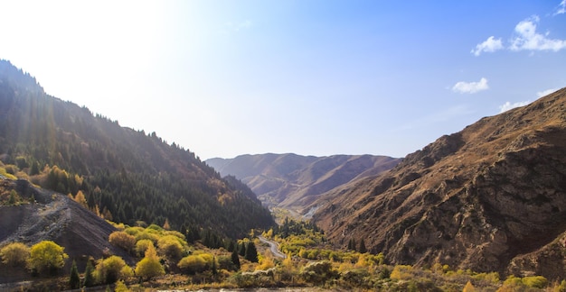 Paisaje otoñal de montaña Garganta al atardecer Árboles amarillos Kirguistán AkTuz gorge