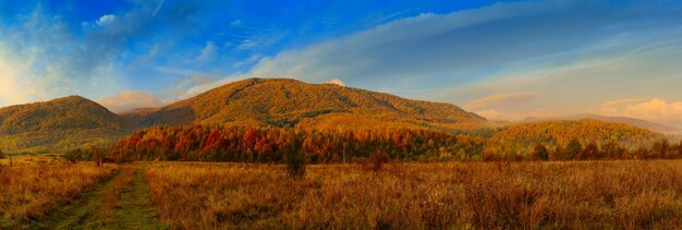 Paisaje otoñal de las montañas de los Cárpatos con cielo azul, árboles rojos y nubes, fondo natural. Vista panorámica