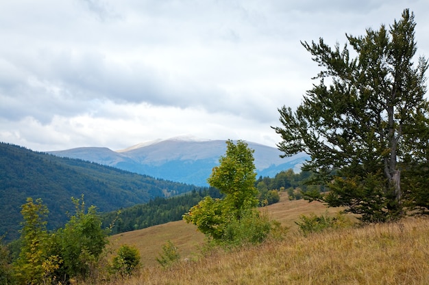 Paisaje otoñal de las montañas de los Cárpatos (Ucrania) (con la nieve del primer octubre en la cima de la montaña).