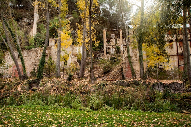 Paisaje otoñal de naturaleza viva