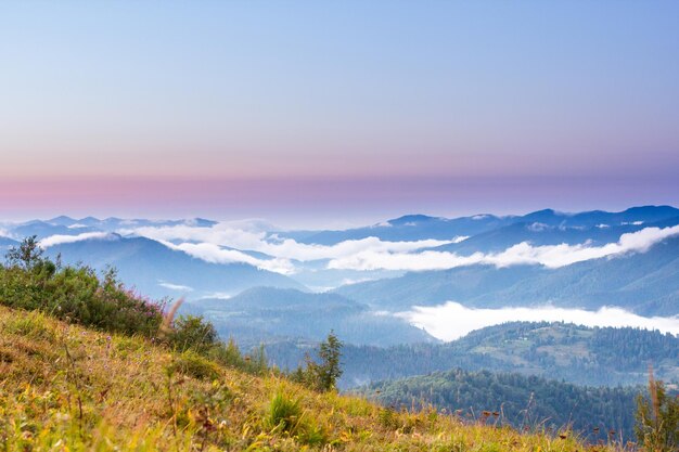 Paisaje otoñal con niebla en las montañas Bosque de abetos en las colinas