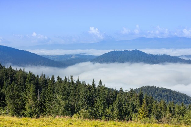 Paisaje otoñal con niebla en las montañas Bosque de abetos en las colinas