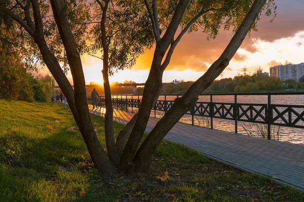 Paisaje otoñal en el parque. Puesta de sol