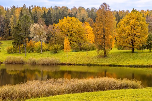 Foto el paisaje otoñal pavlovsk palace park san petersburgo rusia