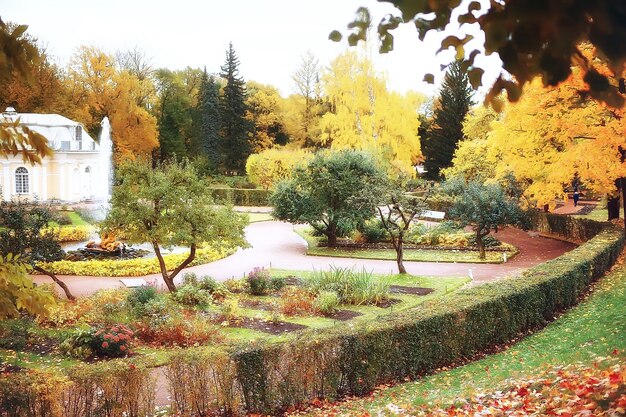 paisaje otoñal de Peterhof / parque de otoño en petersburgo, temporada de otoño en el parque amarillo